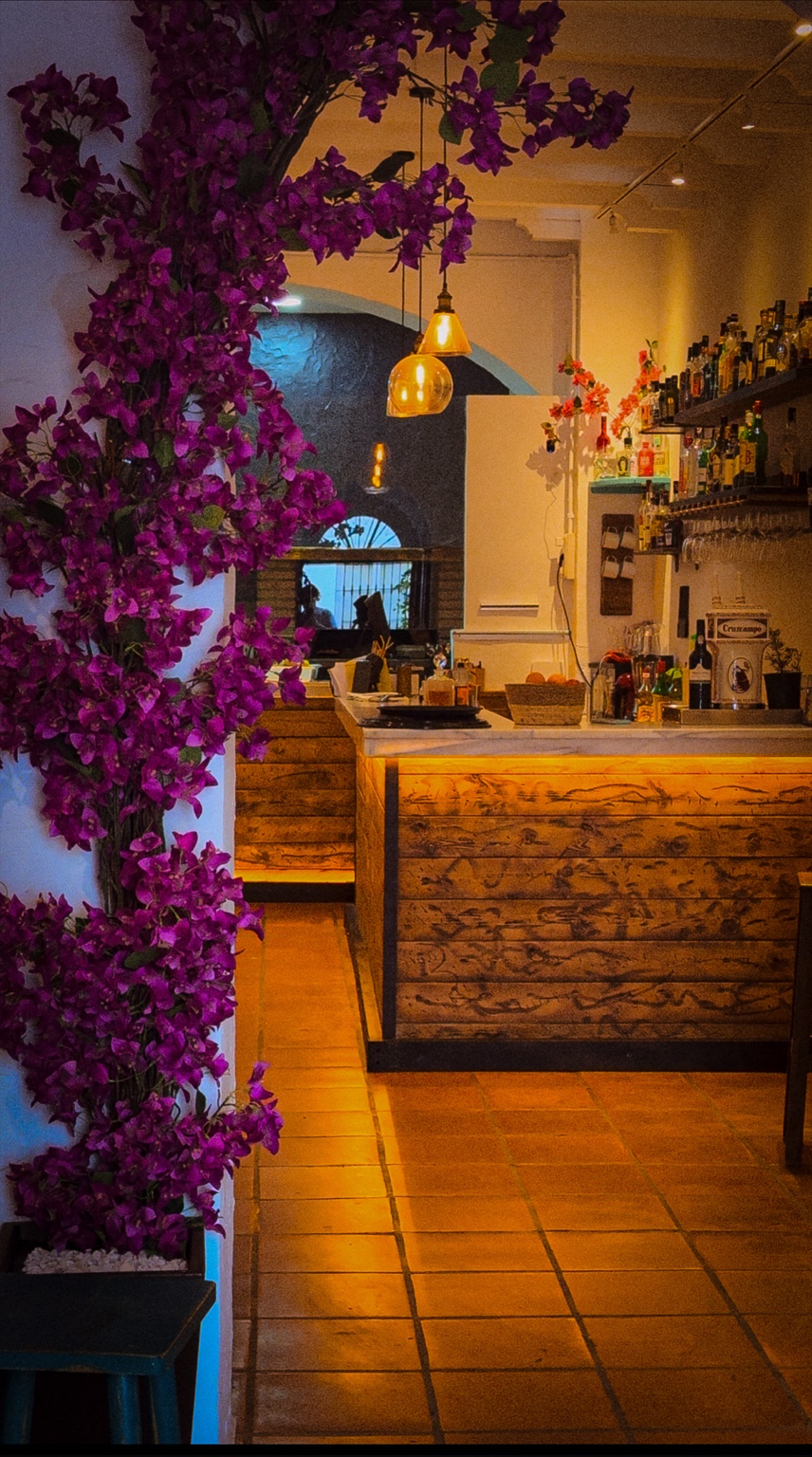 Entrada e interior de Archivo en Tarifa, con buganvilla y barra de madera